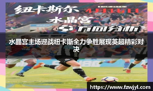 水晶宫主场迎战纽卡斯全力争胜展现英超精彩对决